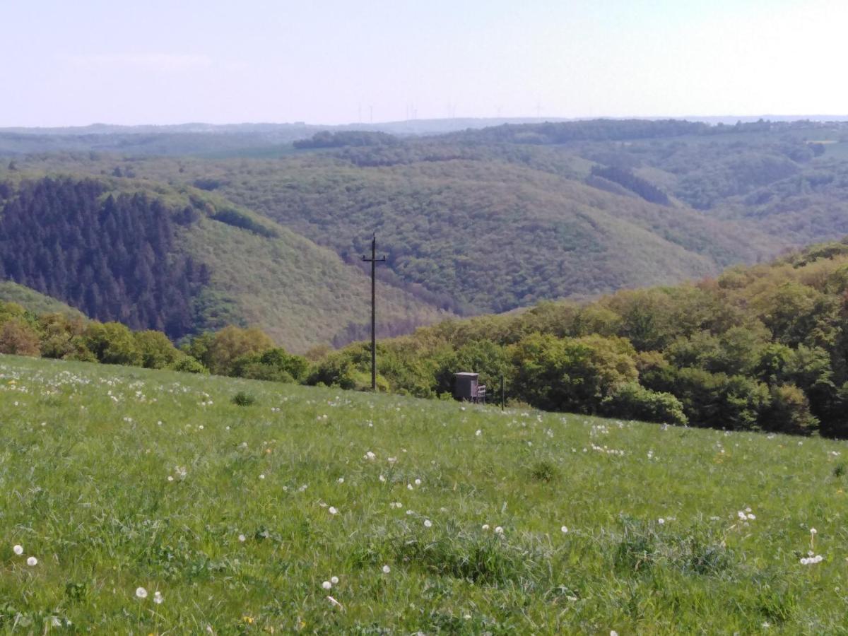 Ferienhaus Cilla Beltheim Kültér fotó