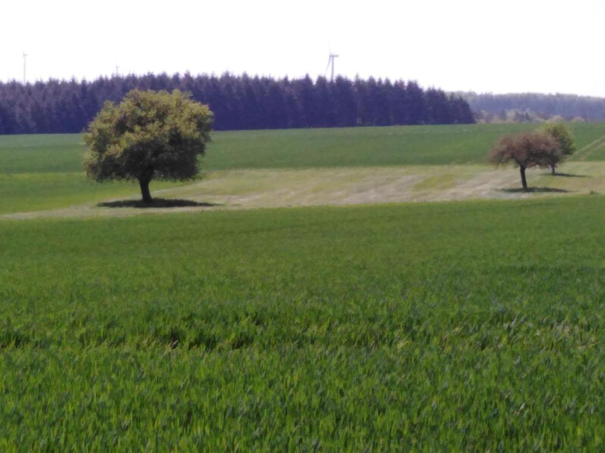 Ferienhaus Cilla Beltheim Kültér fotó